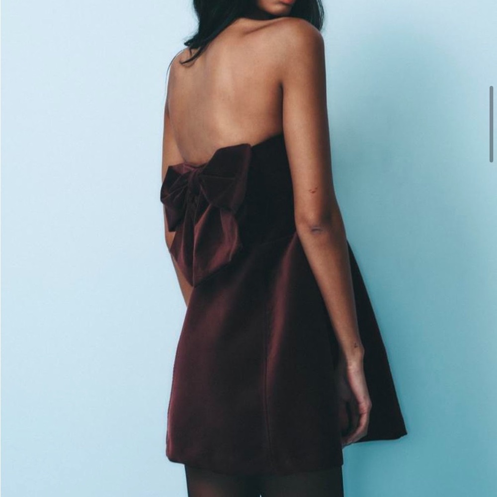 Zara Dark Brown Dress with Statement Bow